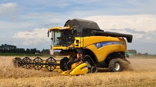 Loonwerk De Bruyne  New Holland CX8090  triticale [upl. by Shepherd]