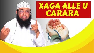 Xaga Alle U Carara Sh Abdiqadir [upl. by Joell324]