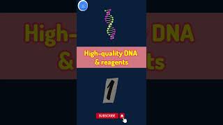 Mastering PCR 7 Tips for Accurate and Reliable Results How to Avoid Common PCR Mistakes [upl. by Anerol]