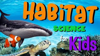 Habitat  Science for Kids [upl. by Miche]