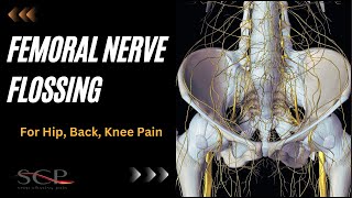 Femoral Nerve Flossing for Hip Back Knee Pain [upl. by Gambell]