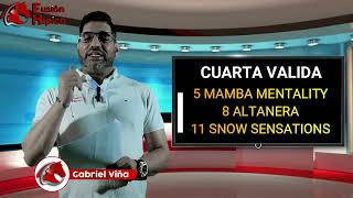 Pronósticos La Rinconada Domingo 21 de Enero de 2024  Fusión Hípica 3  Análisis para el 5y6 [upl. by Keller]