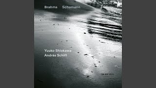 Schumann Violin Sonata No 2 in D Minor Op 121 II Sehr lebhaft [upl. by Arihday]