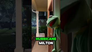 🚨 Kermit’s Urgent Update on Hurricane Milton 🌪️ HurricaneMilton KermitNews kermit shorts [upl. by Howell]