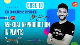 How Do Organisms Reproduce Part 3 Asexual Reproduction in Plants Class10 BiologyVedantu910 [upl. by Corena593]