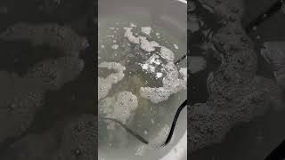 Muriatic Acid Bath Surface cleaning dry rock 2nd bath [upl. by Isador]