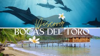 Discover Bocas del Toro Panama  A Tropical Paradise of Wonders [upl. by Okiruy]