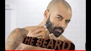 THE BEARD RELOADED [upl. by Cletis]