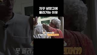 고양이가 자꾸 냉장고에 올라가는 이유 왜그러냥귀엽개 shorts [upl. by Aneehc43]