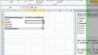 PivotTabellen mit Excel 2010  Teil 02 Daten aktualisieren [upl. by Elahcar323]