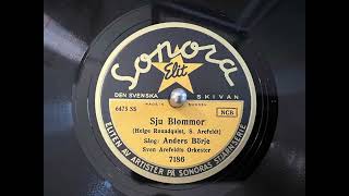 Sju Blommor Anders Börje 78rpm [upl. by Yenhpad]