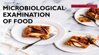 Food Microbiology  Microbial Examination of food Explanation Hindi  ppt English [upl. by Vallie]