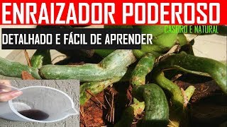 ENRAIZADOR DE ORQUIDEAS CASEIRO e enraizador de plantas potente hormônio natural n é adubo frtz [upl. by Tedra855]