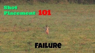 COYOTE HUNTING SHOT PLACEMENT 101 [upl. by Chilcote735]