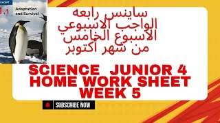 ساينس رابعه واجب الاسبوع الخامس من شهر أكتوبر science junior 4 Home worksheet week 5 [upl. by Dranel]