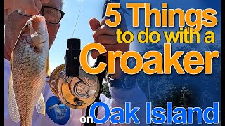 5 Things to do with a Croaker [upl. by Ettenyl]