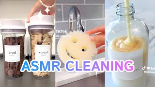 1 Hour ⏳ ASMR 🔊 CLEANING 🧼 RESTOCKING 🍉 ORGANIZING 🧃 TIKTOK COMPILATION ✨ SATISFYING 10 [upl. by Annaig]