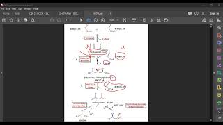 L60 Ketogenesis [upl. by Alah]