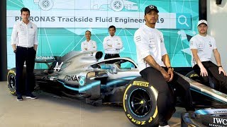 Announcing our 2019 PETRONAS Trackside Fluid Engineer [upl. by Magena656]