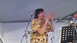 Closing Medley by Polka Family at Roncesvalles Polish Festival [upl. by Tulley882]