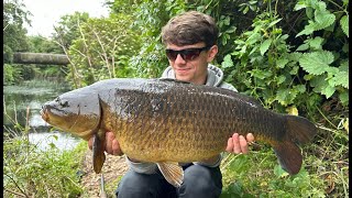 STALKING FOR CARP on a small London river [upl. by Arodaeht]