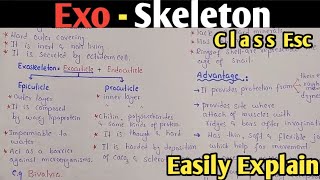 Exoskeleton  Exoskeleton Structure  Epicuticle  Procuticle  Ecdysis Moulting  Class 12 Urdu [upl. by Annodas]