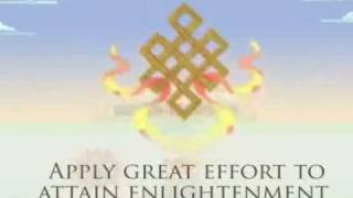 The Eight Auspicious Symbols of Buddhism  New Kadampa Tradition [upl. by Kyle335]