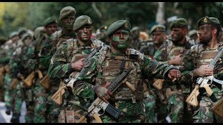 DESFILE MILITAR DO DIA DE PORTUGAL 2019 [upl. by Malinda143]