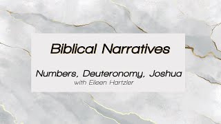 Biblical Narratives  Part 3  Numbers Deuteronomy Joshua [upl. by Connelley]