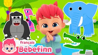 Le Boogie Dans La Jungle  Chanter avec Bebefinn  Bebefinn en français👶Chansons pour Enfants [upl. by Anilef383]