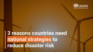 3 reasons countries need national strategies to reduce disaster risk  UNDRR [upl. by Siron930]