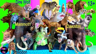 NEW Dire Wolf Wolf Wolves Mammoth Smilodon Prehistoric Mammals Megafauna 13 [upl. by Hunter]