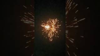 Big Sky shot diwali2024 🤩trending youtubeshorts [upl. by Etteuqal]