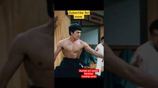 fistoffury best of brucelee scene kungfu karate kumite biggboss shorts [upl. by Willin]