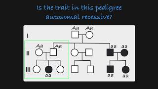 Autosomal Recessive Traits in a Pedigree [upl. by Aleka723]