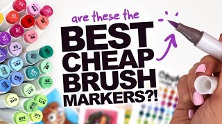 BEST CHEAP BRUSHMARKERS  Ohuhu DualTip BrushChisel Tip Markers  48 set [upl. by Eyatnod635]