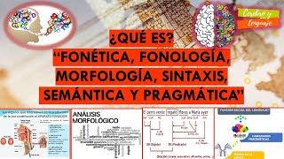 ¿Qué es Fonética Fonología Morfología Sintaxis Semántica Pragmática Temas sobre lenguaje [upl. by Taggart]