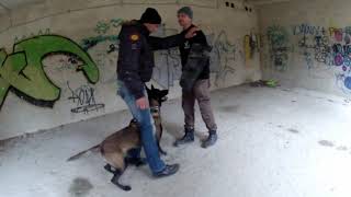 Owczarek belgijski Malinois Nirvana trening obrony stare poradzieckie Koszary 2312 2018 [upl. by Oiramrej874]