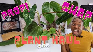 HUGE Plant Haul  Another Plant Swap Event [upl. by Auhsej557]