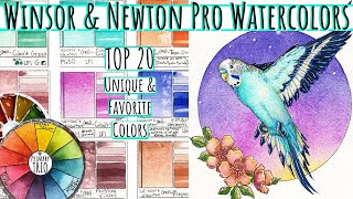 Top 20 Winsor and Newton Professional Watercolor Review 109 Dot Card  Unique amp Granulating Palette [upl. by Arteid]