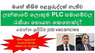 Top Job Vacancies for Freshers in Sri Lankan PLC Companies 2024  No Experience Needed [upl. by Yrocej312]