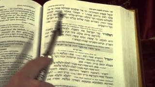 Shabbat Evening Service Melodies by Cantor Moshe Weisblum ניגונים שבת מעריב חזן הרב משה ויסבלום [upl. by Einnaffit]