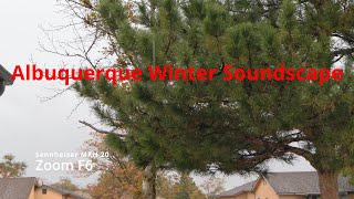 Winter Soundscape Field Recording Nature Sounds  Zoom F6Deity TC1Sennheiser MKH20Jecklin Disk [upl. by Paine]