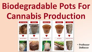 Biodegradable Pots for Cannabis Production [upl. by Aldis798]