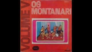 OS MONTANARI  Ales Blau in Blumenau 1972 STEREO High Quality [upl. by Zetrok]