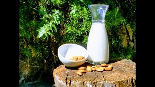 Latte di Mandorla fatto in Casa  How to Make Almond Milk  Asmr [upl. by Mccarty]