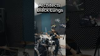 Architects  Black Lungs drum cover drumcover drums shorts architects metal metalcore rock [upl. by Eenimod533]