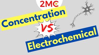 Concentration Gradients VS Electrochemical Gradients  With Examples [upl. by Comfort702]