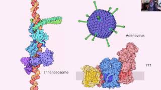 David S Goodsell Fankuchen Award Lecture 2022 ACA Annual Meeting Portland OR [upl. by Rona]