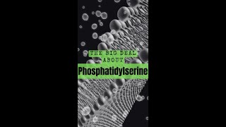 What is Phosphatidylserine [upl. by Hayouqes]